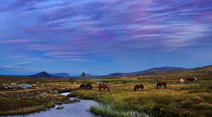 Blåfjella-Skjækerfjella Nationalpark